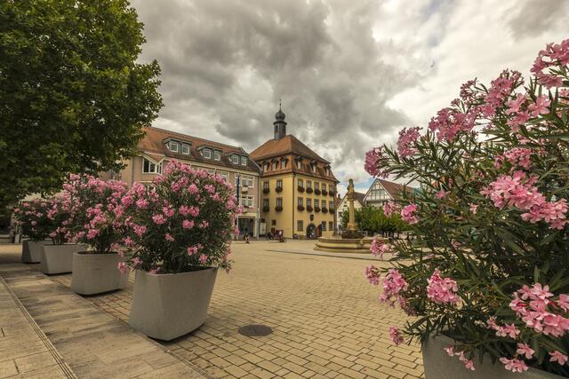 Blumengeschmückter Marktplatz mit Brunnen und Rathaus