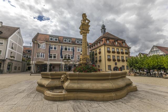 Marktplatzbrunnen und Rathaus