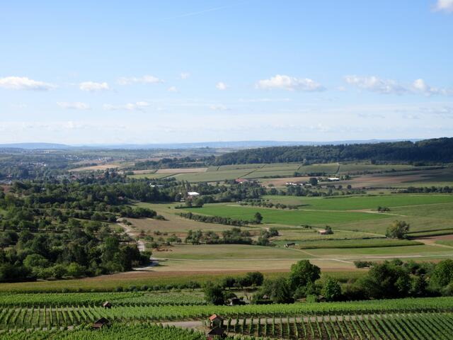 Am Horizont der Stuttgarter Fernsehturm. Glaubt ihr nicht...???