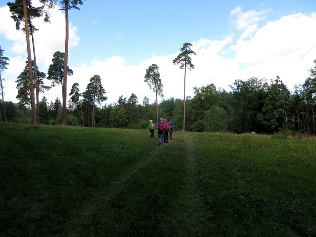 Die Jungviehweide ist als Kraftplatz bekannt, hier wurden schon Qigong-Kurse veranstaltet.