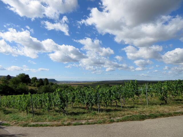 Ein stürmischer Vormittag mit rasch vorbeiziehenden Wolken. Der Wind war eine willkommene Abkühlung, sobald er aufhörte, wurde es fast zu warm.