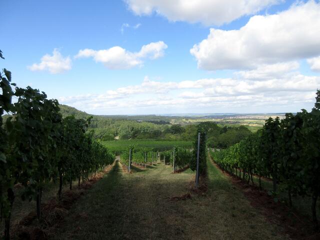 Unser Wanderfreund konnte auch einen Blick in seine Heimat wagen. Mit bloßem Auge war Schloss Stocksberg zu erkennen. Mit dem Fernglas konnte man sich dann ganz sicher sein.