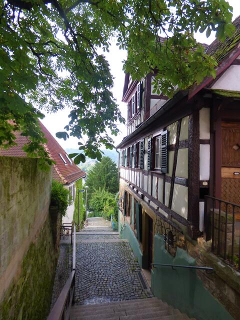 Durch diese hohle Gasse kannst du gehen .... es gibt aber auch noch andere Wege. Wo ist diese hübsche Gasse zu zu finden? --- 1. Buchstabe des Ortes / Gemeinde / Stadt.....
