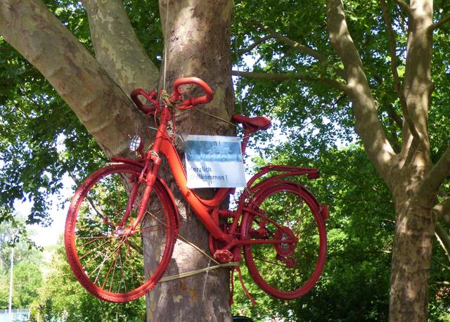 Ein Fahrrad in den Bäumen? Ja, genau... ziemlich ungewöhnlich und viele haben es dort schon hängen sehen. Worauf weist es wohl hin und in welchem Ort ist es zu finden? --- 3. Buchstabe des zweiten Teils des Ortsnamens......
