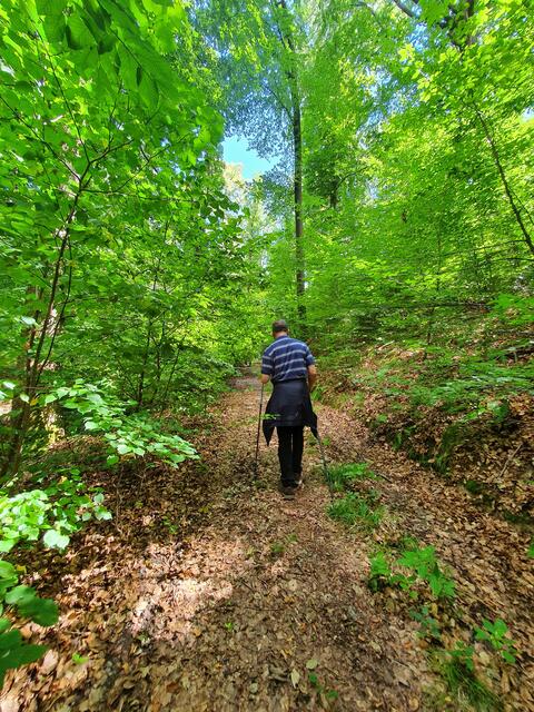Der Reitweg ist eine richtig grüne Pforte