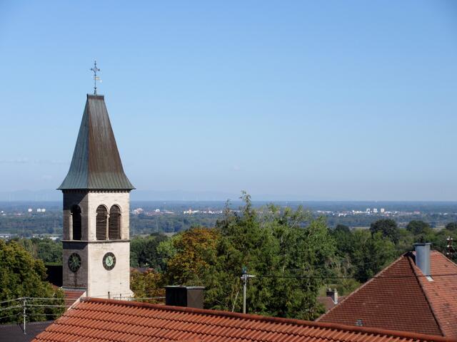 Vom Buchenweg in Balg reicht der Blick an diesem sonnigen Tag bis am Horizont die Vogesen zu erahnen sind