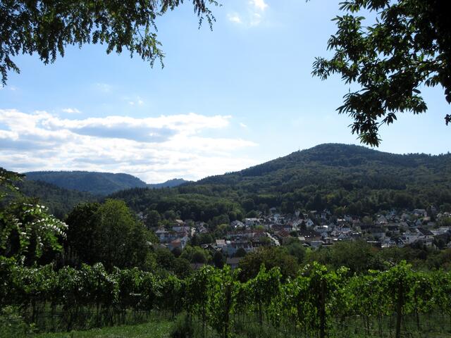 Letzter Ausblick, gleich sind wir beim Kaffeekränzchen
