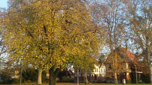 Alte Schachthäuser beim Salzwerk in Kochendorf
