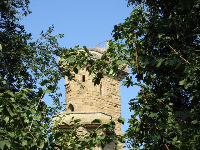 Ein verwunschener Turm in einem zauberhaften Wald...