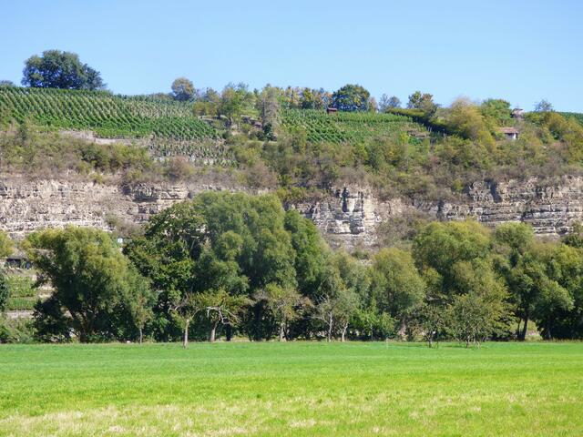 Die ersten Blicke auf die Felsen an der Enz.