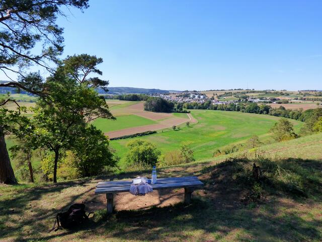 Oben am "Kammertenberg", einem sogenannten Prallhang, gibt's wieder einen herrlichen Ausblick auf das andere Enztal.