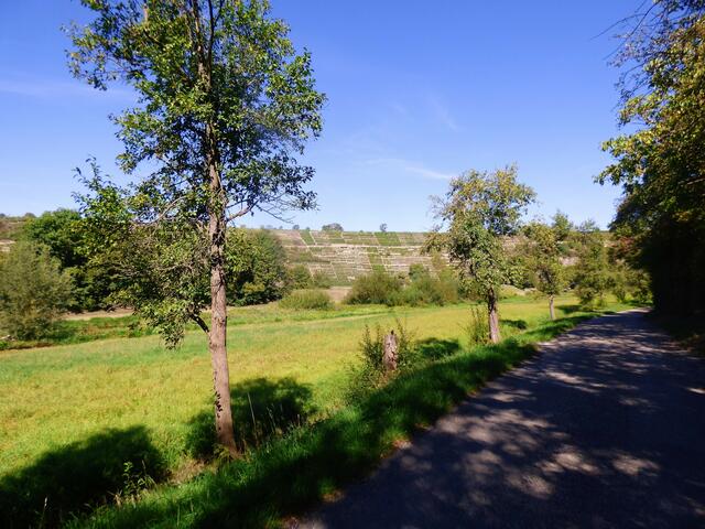 Entlang von Wiesen und Weiden verläuft der bequeme Wanderweg.