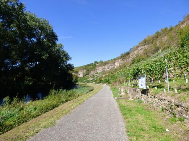 Bei der leichteren Variante, ohne dass man kraxeln muss, würde man hier nach dem Schild die schmalen Weinbergstaffeln hinaufsteigen.