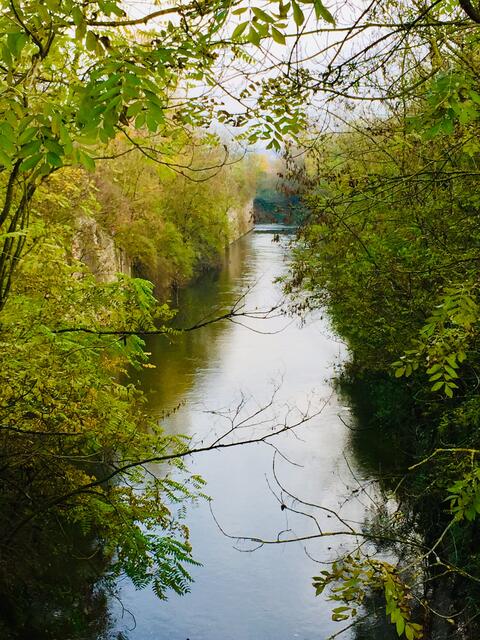 Der alte Kocherkanal bei Jagstfeld
