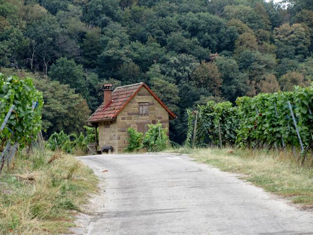 Hier sollten wir in 2 bis 3 Wochen nochmal vorbei, wenn die Weinberge bunt sind.