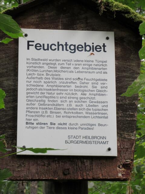 Das Feuchtgebiet oberhalb des Steinbruchs am Jägerhaus ist inzwischen auch ziemlich trocken. Doch noch kann man Spuren der Wildschweine sehen, die sich hier suhlen.