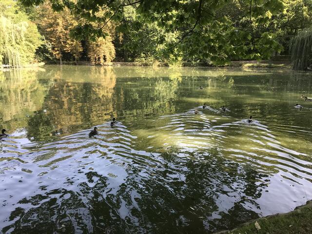 Idylle am Schachtsee in Jagstfeld