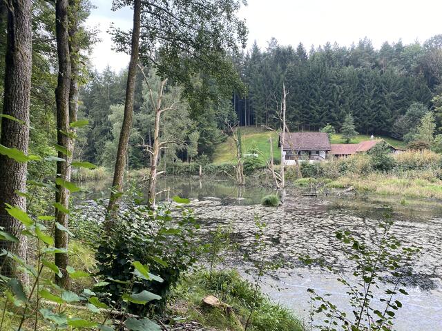 Eging am See, Steinbruchweg