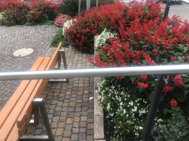 Schöne Bepflanzung vor der alten Kelter in Kochendorf