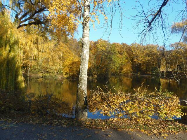Ein Blick auf den Schachtsee der durch ein Grubenunglück im Jahr 1895 entstand.