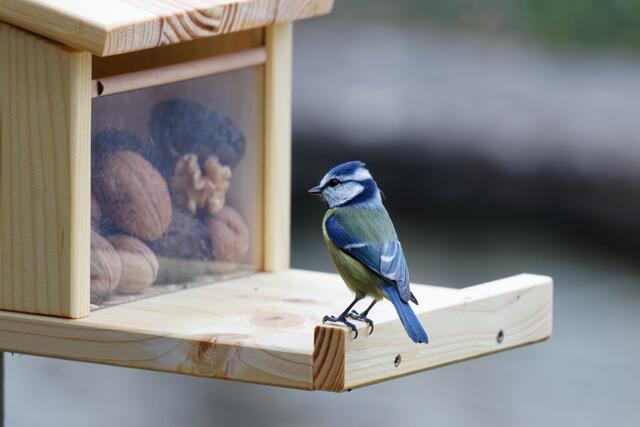 Wozu soll das denn gut sein???