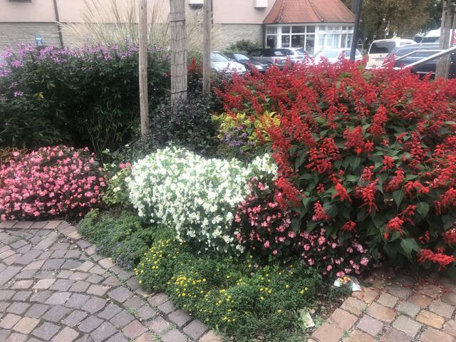 Mit Blick auf das Schlosspark Cafe