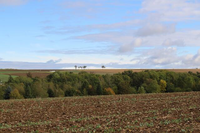 Ausblick von der Hedwig Stauder Allee