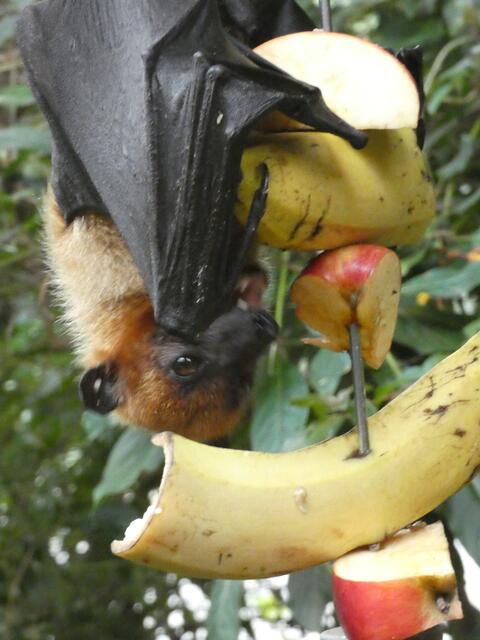 Hauptsache, es schmeckt