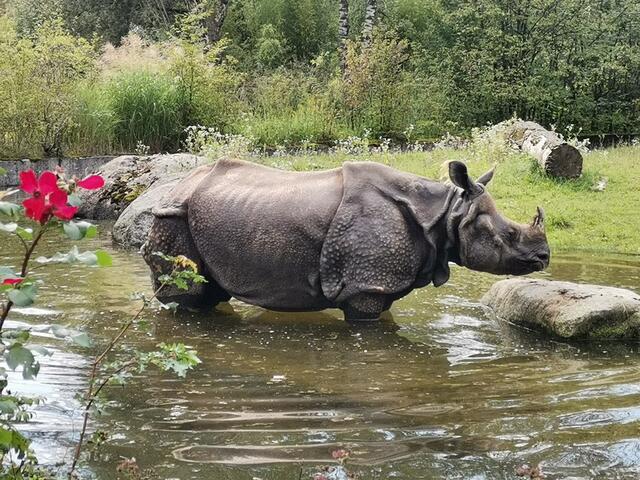 Ein Titel fällt mir nicht ein, aber mir gefällt´s