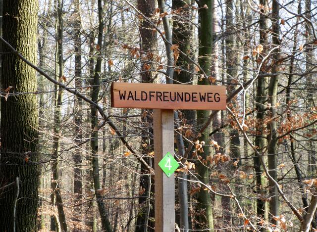 Die Freunde des Waldes haben die kompletten Wege der Bürgerstiftung wieder erneuert und gut ausgeschildert. | Foto: Aurelia Kling