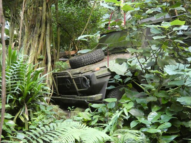 Nein, ich habe dieses Mal NICHT eingeparkt!