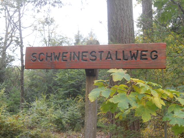 .... fanden sich die Wanderer im Schweinestall wieder. 😇😅 | Foto: Aurelia Kling