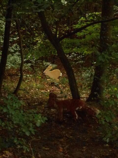 Wo Fuchs und Hase (nicht gute Nacht sagen) versteckt sind... da sind die Tiere des Waldes auf dem Walderlebnispfad. | Foto: Aurelia Kling