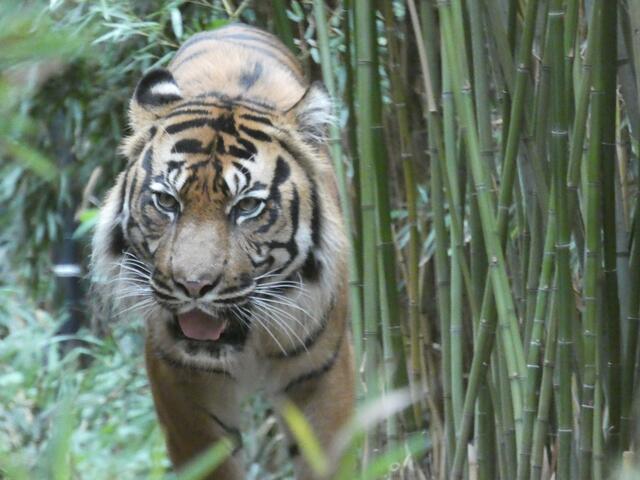 zum Greifen nah und traumhaft schön