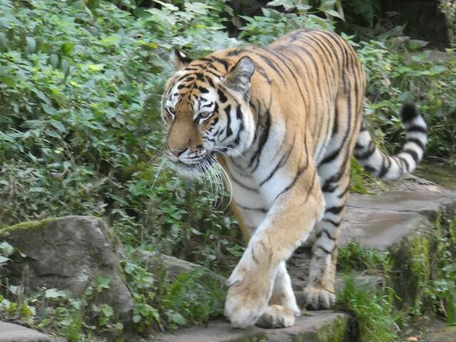 einfach "nur" schön