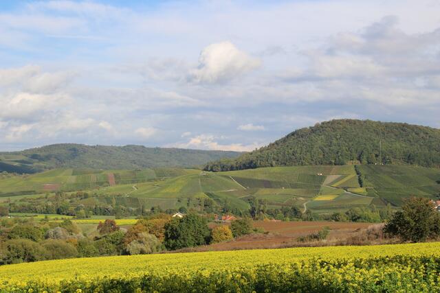 Pfedelbach-Hinterespig