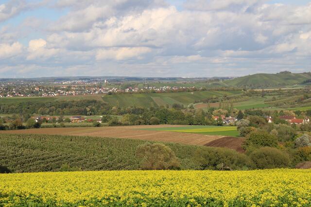Pfedelbach-Hinterespig Weitblick bis zu Gebäuden der Firma Würth in Gaisbach.