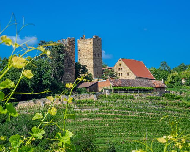 Motiv 2: Von Günther Lang stammt der Blick auf Burg Neipperg im Westen unserer Heimat - in Brackenheim-Neipperg. | Foto: Günther Lang