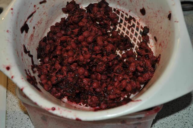 Die Schlehenkerne, kann man nochmals mit Wasser aufkochen, damit sie noch sauberer werden. Können auch getrocknet als Körnerkissen verwendet werden. | Foto: Daniela Somers