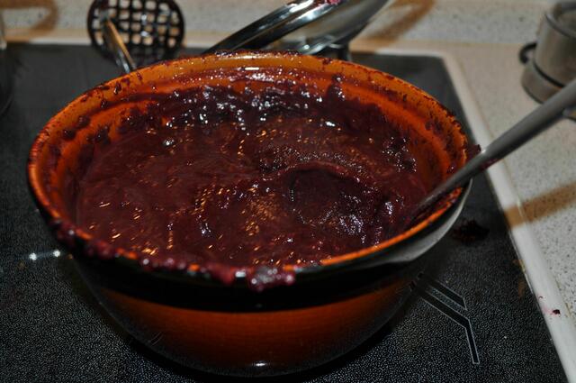 Das Schlehenmus zur Weiterverarbeitung | Foto: Daniela Somers