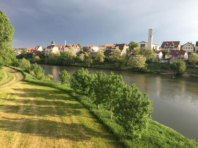 Morgenstimmung über Alt-Jagstfeld