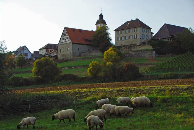Jagsttalromantik unter Burg Duttenberg