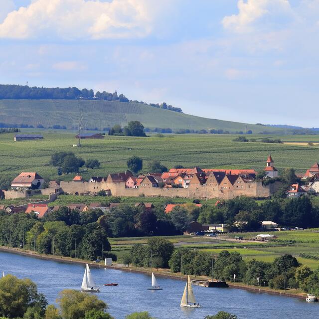 Der Neckar und Lauffen gehören zusammen: Das zeigt dieses Motiv von Heimatreporter Frank-Michael Zahn deutlich. Auch dieses Foto wird zur Bildkarte des Memo-Spiels.