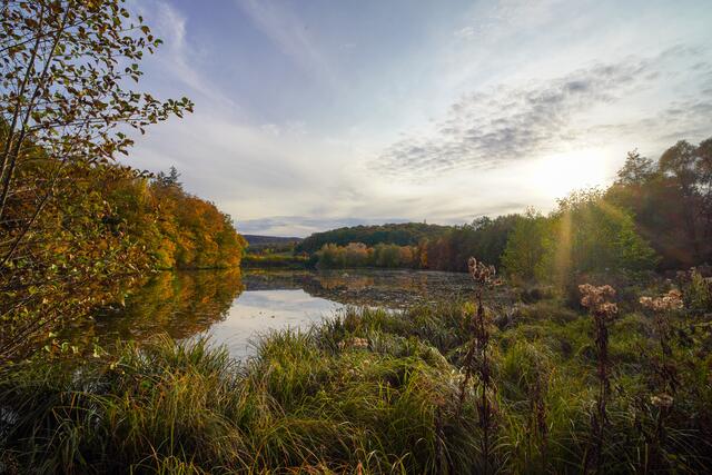 Herbst am Michelbacher See
