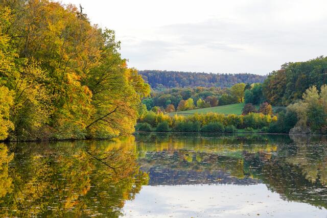 Bunt sind schon die Wälder