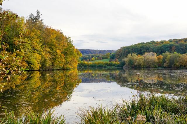 Michelbacher See mit Herbstwald