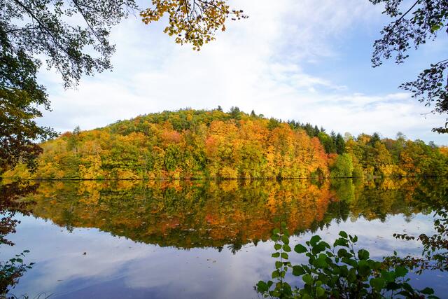 Spiegelung der Herbstwaldes im See