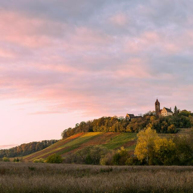 Die untergehende Sonne taucht das Schloss Stocksberg in Brackenheim in ein einmaliges Licht. Heimatreporter Stefan Seiz hat das Foto gemacht. | Foto: Stefan Seiz
