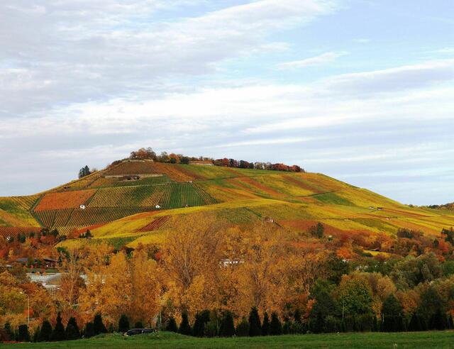 Das Herbstkleid des Scheuerberg