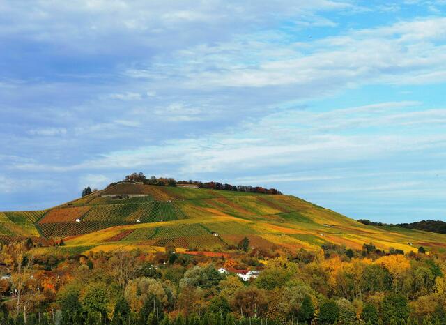Das Herbstkleid des Scheuerberg
